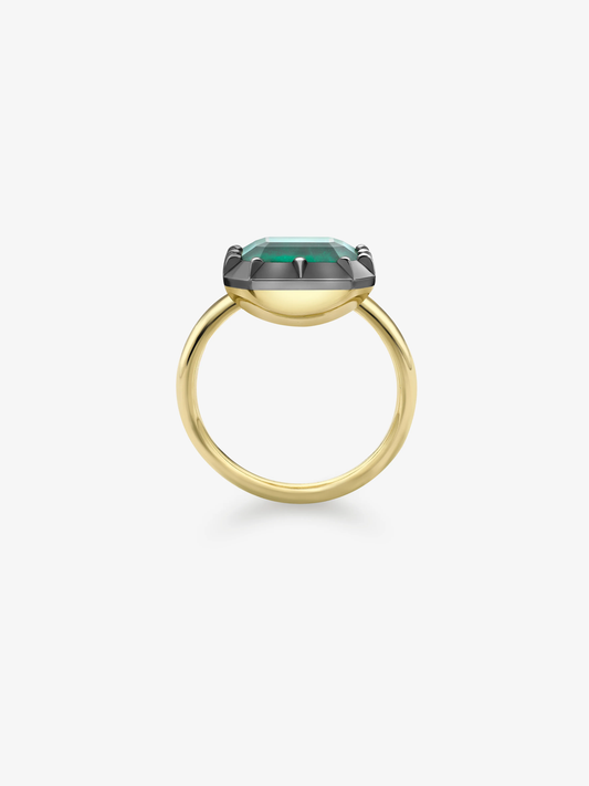 5.54ct East-West Emerald Cut Emerald Button Back Ring View 3