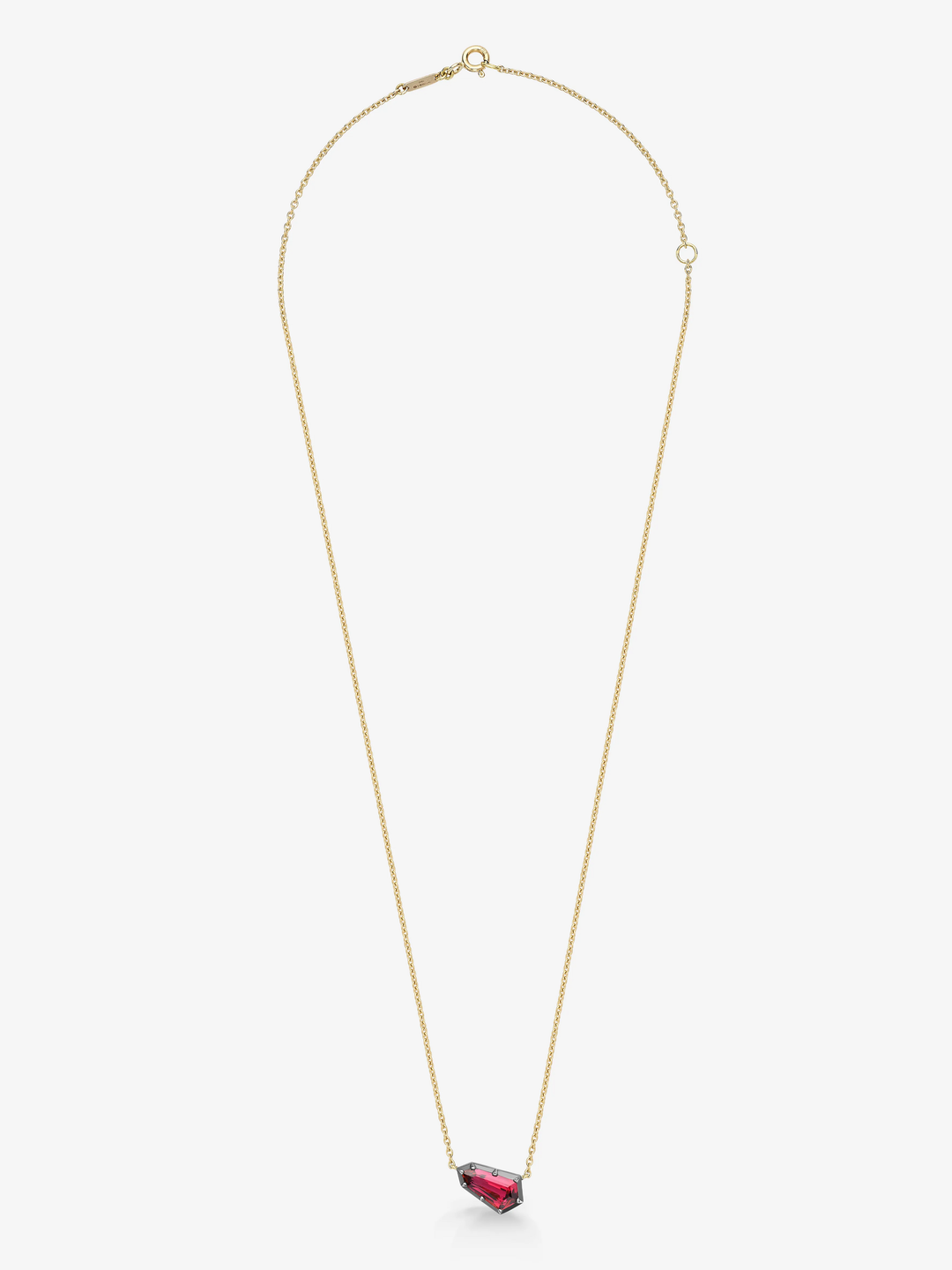 Gold necklace with a red pendant on a white background  View 1