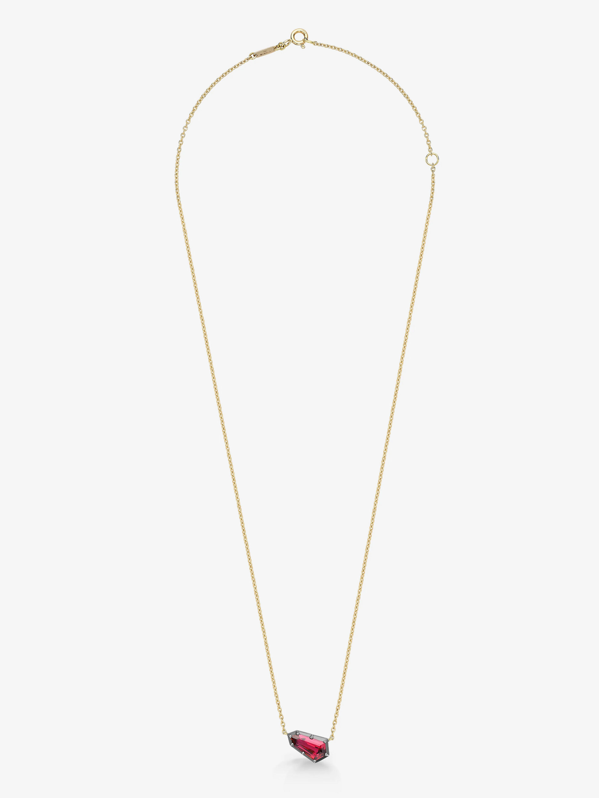 Gold necklace with a red pendant on a white background View 1