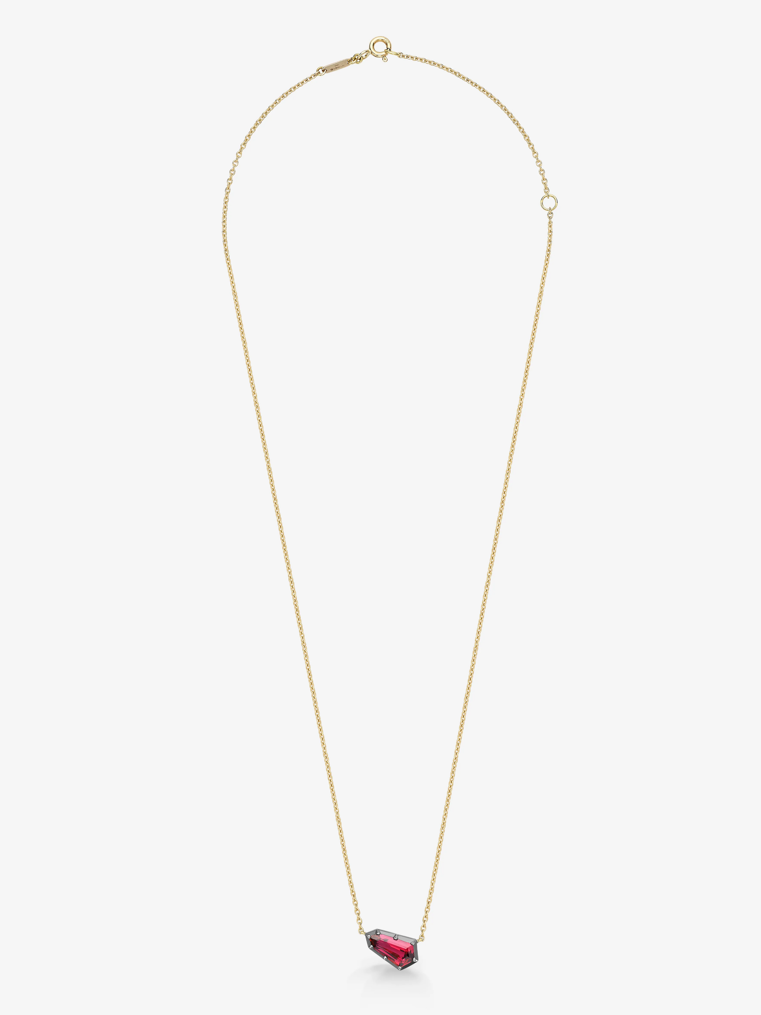 Gold necklace with a red pendant on a white background View 1