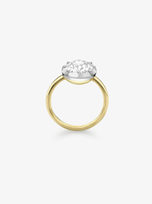 3.01ct East-West Old Mine Diamond Button Back Ring View 4